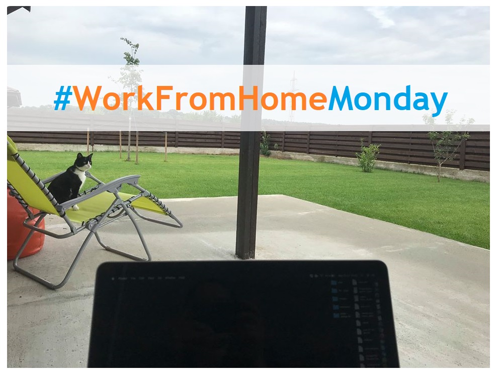 work from home monday